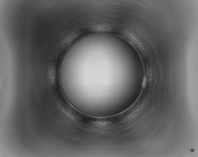 X0000108480255200904091443