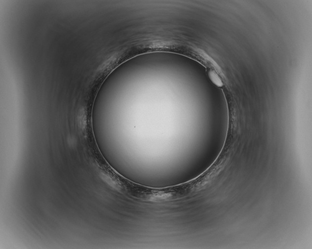 X0000108480257200904091443