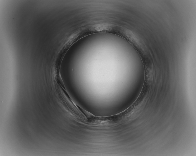 X0000108480260200904091443