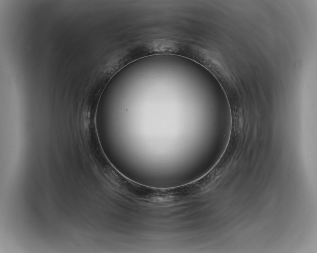X0000108480263200904091443