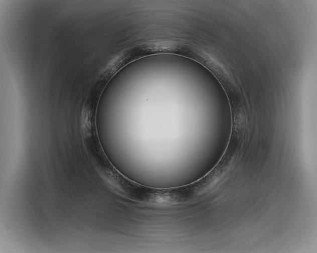 X0000108480264200904091443