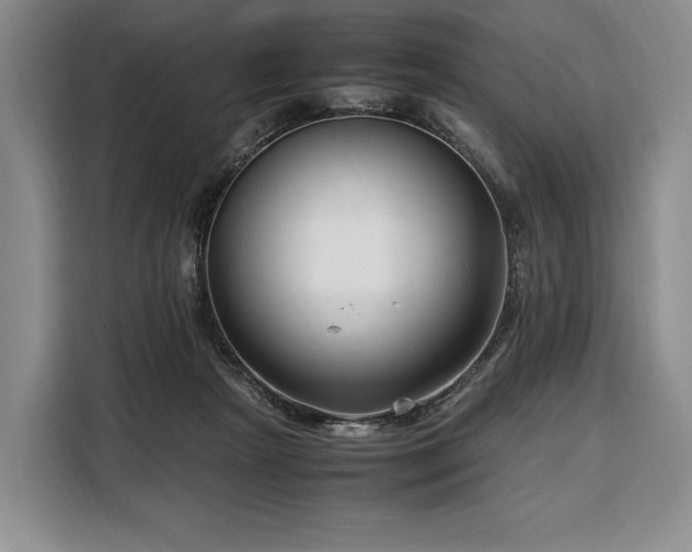 X0000108480265200904091443