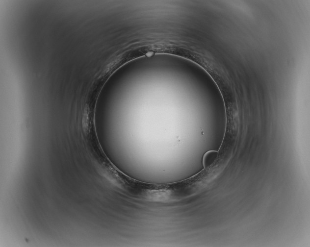 X0000108480266200904091443