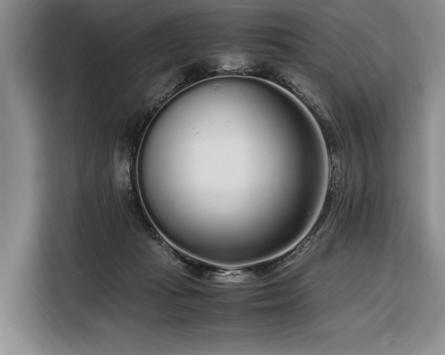 X0000108480269200904091443