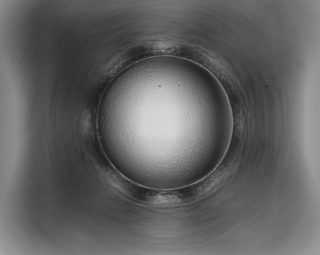 X0000108480270200904091443
