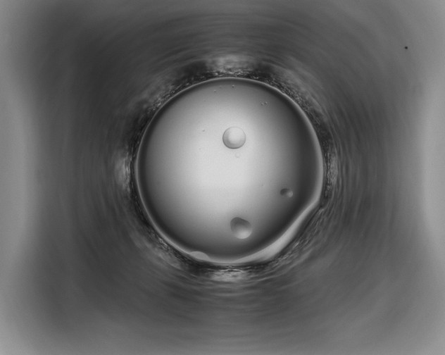 X0000108480271200904091443