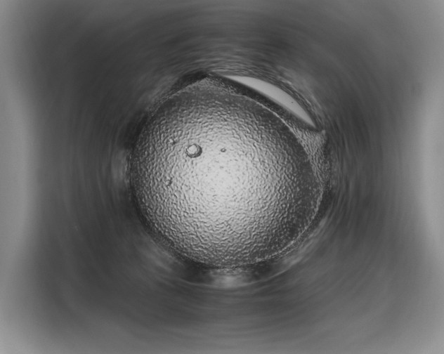 X0000108480273200904091443
