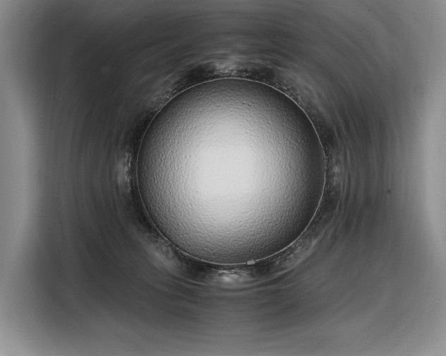 X0000108480275200904091443