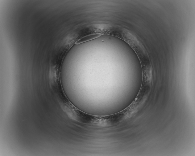 X0000108480276200904091443