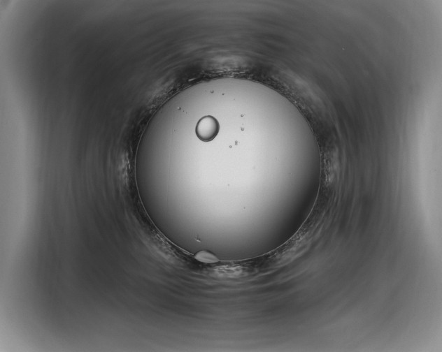 X0000108480279200904091443