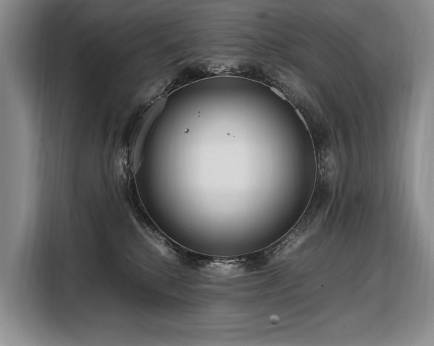 X0000108480280200904091443
