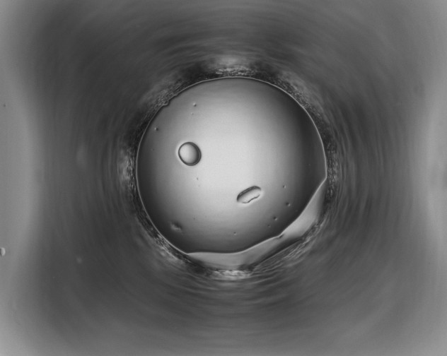 X0000108480281200904091443