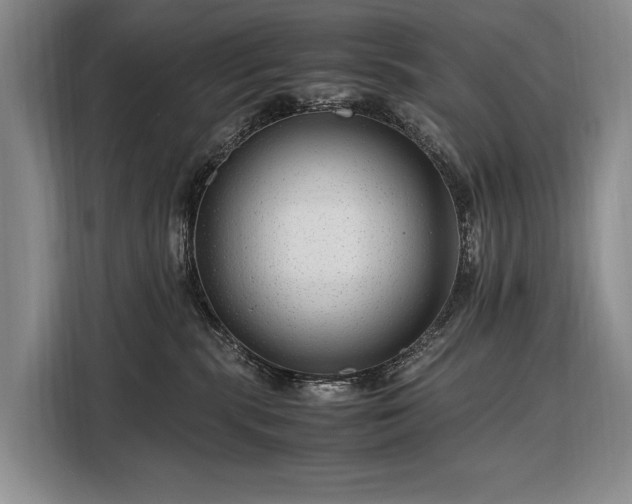 X0000108480283200904091443