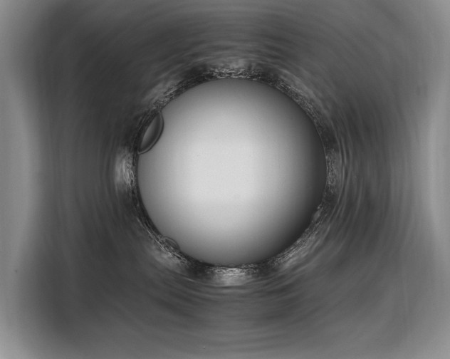 X0000108480287200904091443