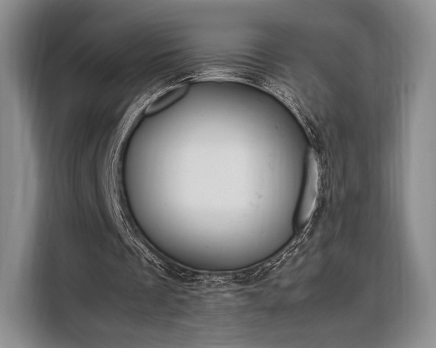X0000108480289200904091443