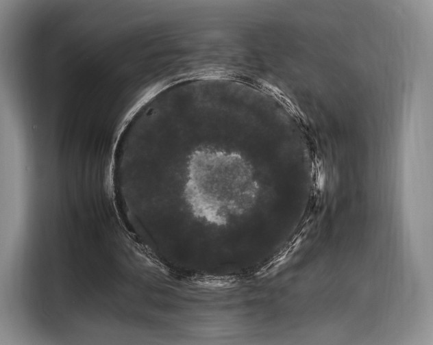 X0000108480292200904091443