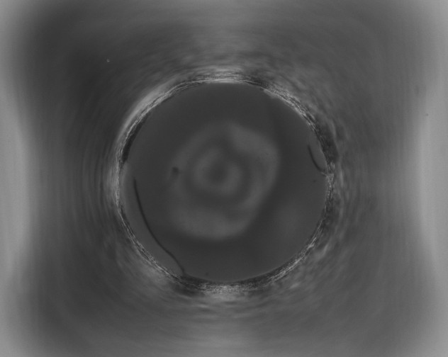 X0000108480293200904091443