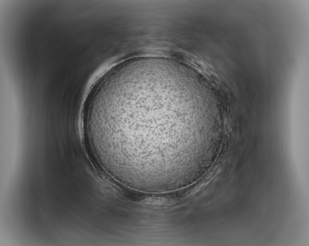 X0000108480294200904091443