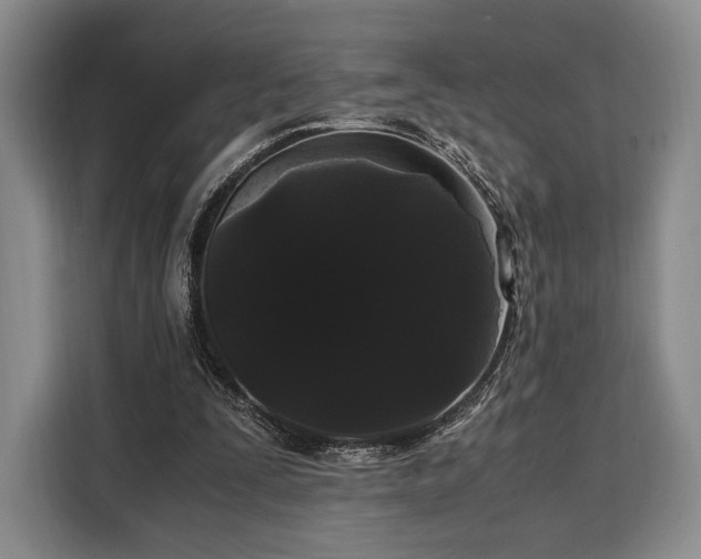 X0000108480295200904091443