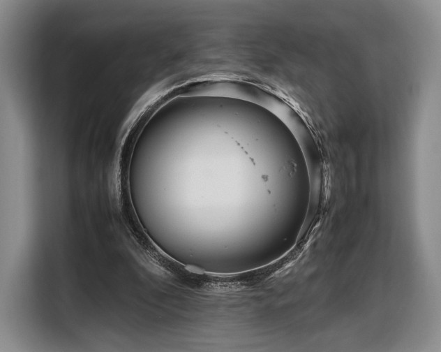 X0000108480296200904091443
