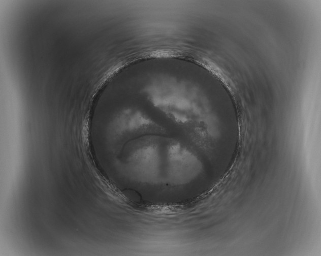 X0000108480297200904091443