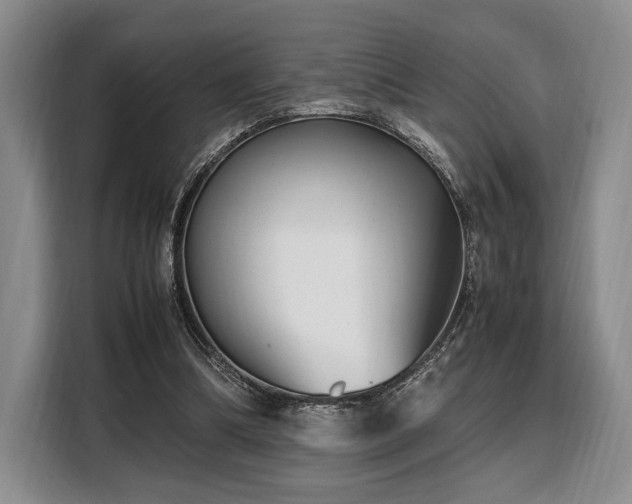 X0000108480298200904091443