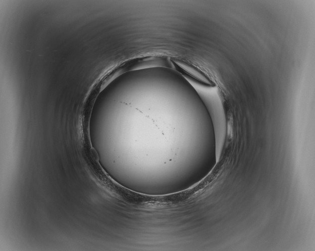 X0000108480300200904091443