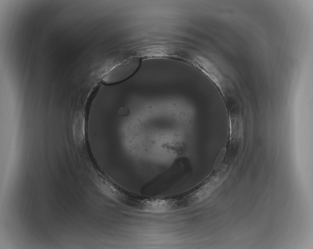 X0000108480301200904091443
