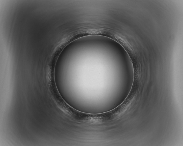 X0000108480303200904091443