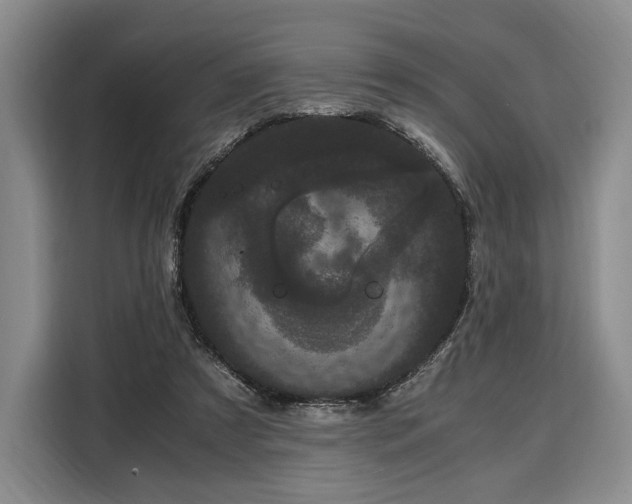X0000108480305200904091443