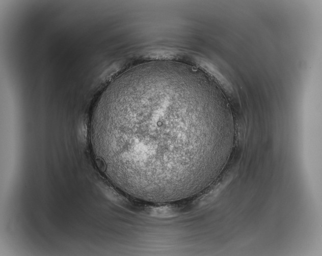 X0000108480309200904091442