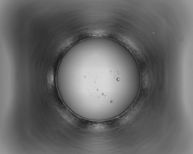 X0000108480310200904091442