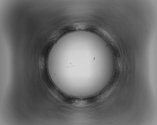X0000108480311200904091442