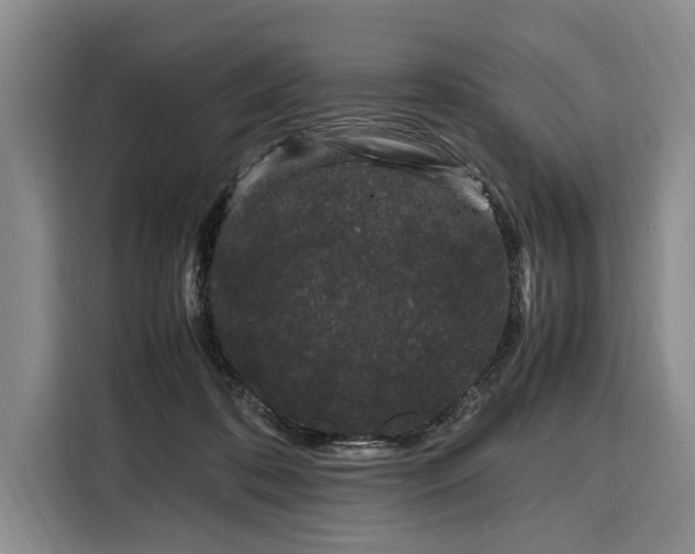 X0000108480316200904091442