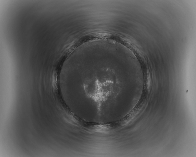 X0000108480320200904091442
