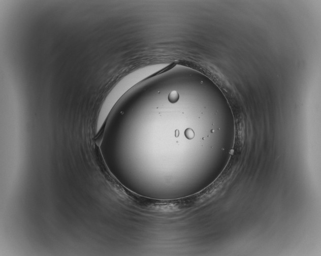 X0000108480322200904091442