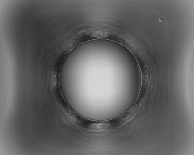 X0000108480323200904091442