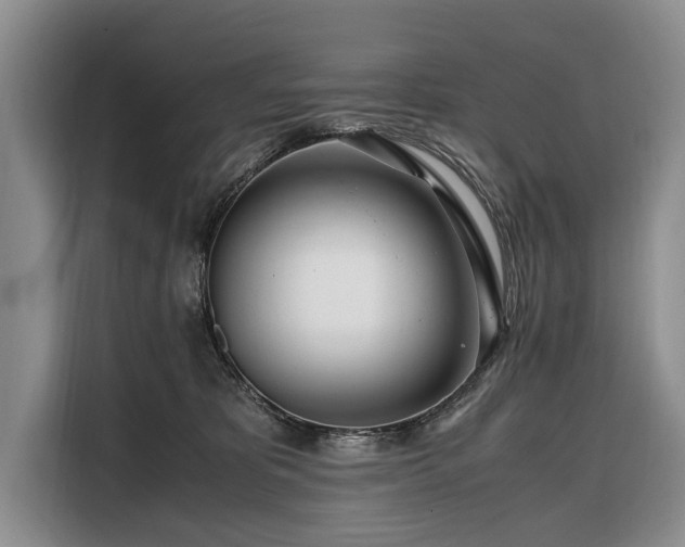 X0000108480325200904091442