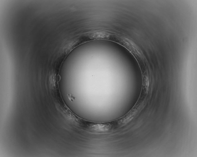 X0000108480326200904091442