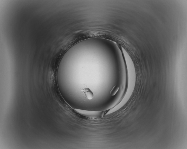 X0000108480327200904091442