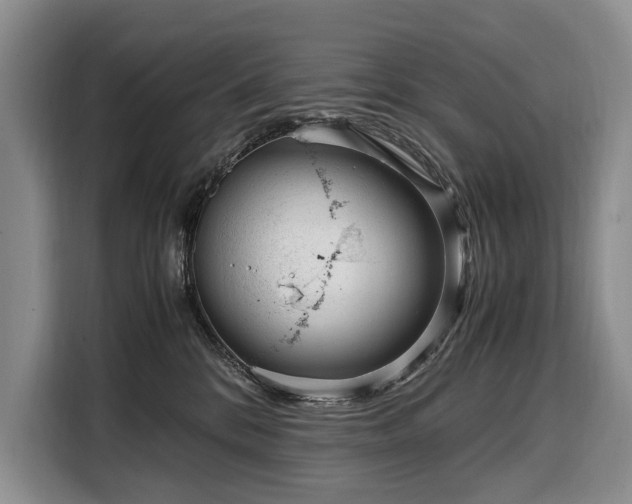 X0000108480328200904091442
