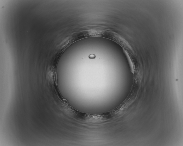 X0000108480329200904091442