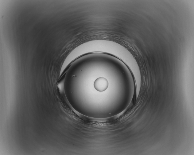 X0000108480332200904091442