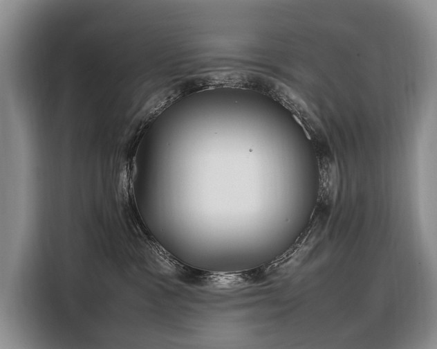 X0000108480333200904091442