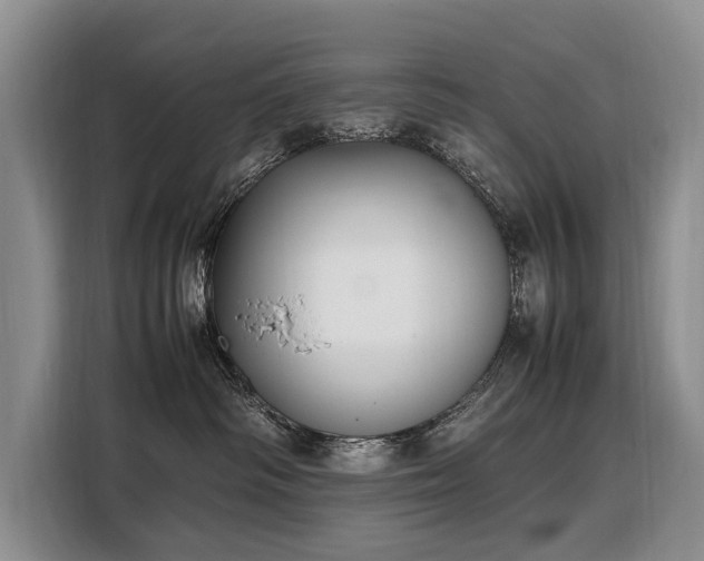 X0000108480334200904091442