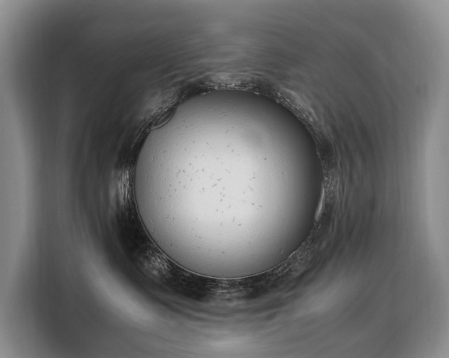 X0000108480335200904091442