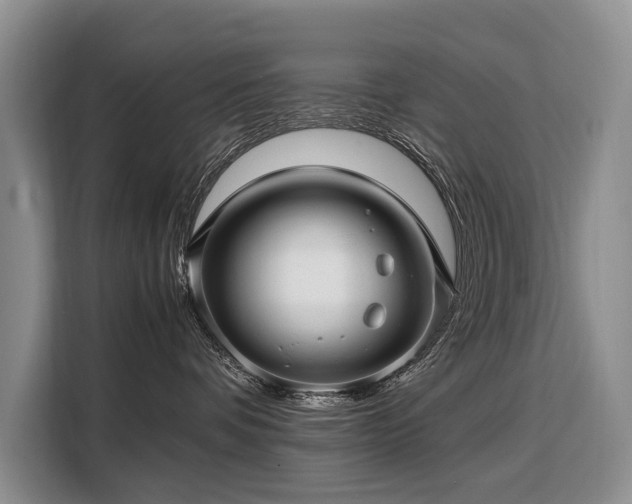 X0000108480336200904091442