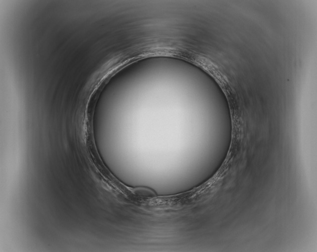 X0000108480338200904091442