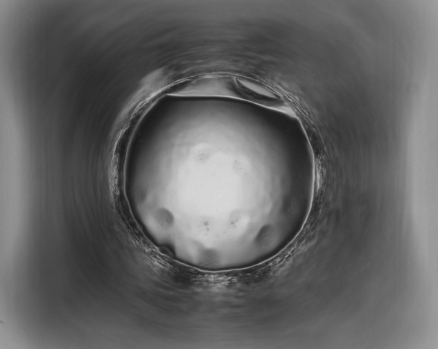 X0000108480339200904091442