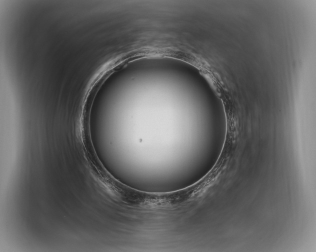 X0000108480340200904091442